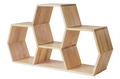 Oak Low Honeycomb Display Shelf