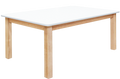 Combination Rectangle Table 1200x23.6 in